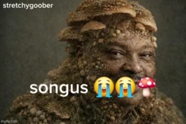 songus | image tagged in songus | made w/ Imgflip meme maker