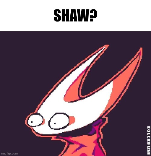 Hornet What Meme | Shaw? | image tagged in hornet what meme | made w/ Imgflip meme maker
