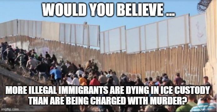 immigrant deaths | Would you believe ... More illegal immigrants are dying in ICE custody 
than are being charged with murder? | image tagged in illegal immigrants | made w/ Imgflip meme maker