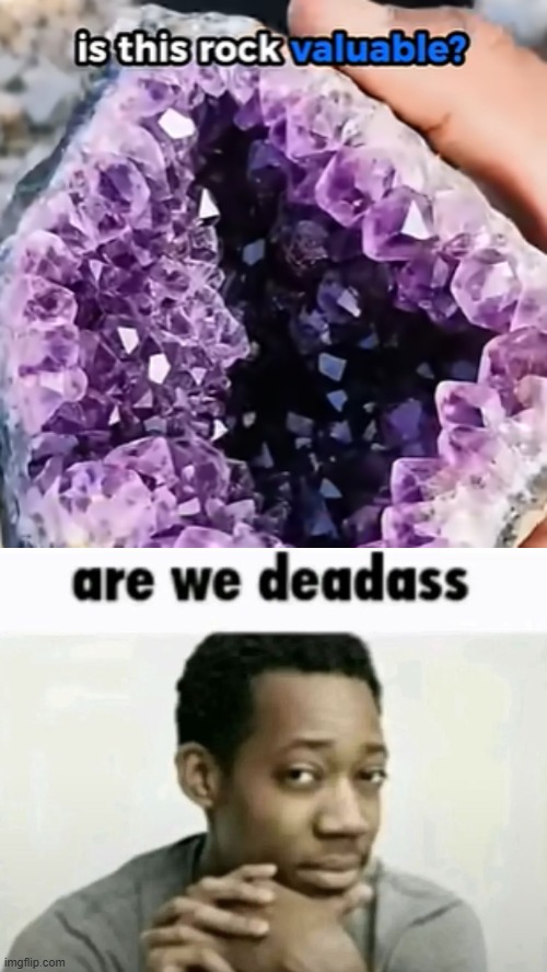 gee idk what do you think bro. | image tagged in are we deadass | made w/ Imgflip meme maker