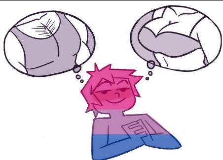 Bisexual Blank Meme Template