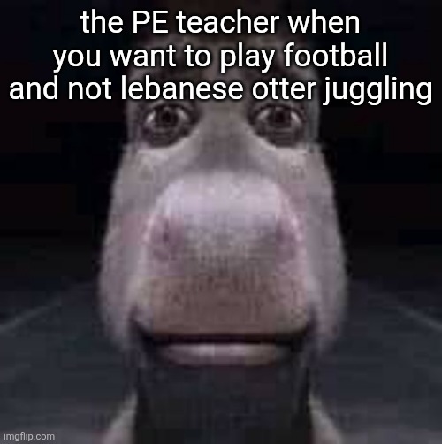 lebanese otter juggling | the PE teacher when you want to play football and not lebanese otter juggling | image tagged in donkey staring | made w/ Imgflip meme maker