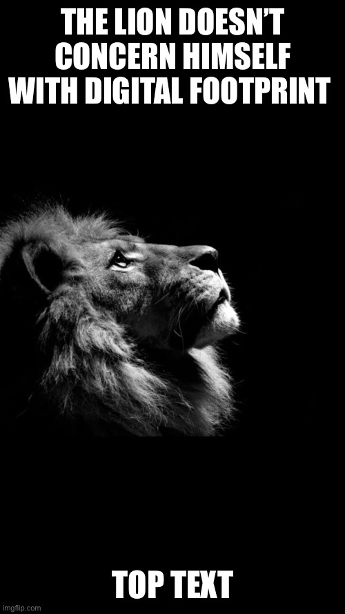 The lion’s thoughts on digital footprint | The lion doesn’t concern himself with digital footprint; Top text | image tagged in a lion doesn t concern himself | made w/ Imgflip meme maker