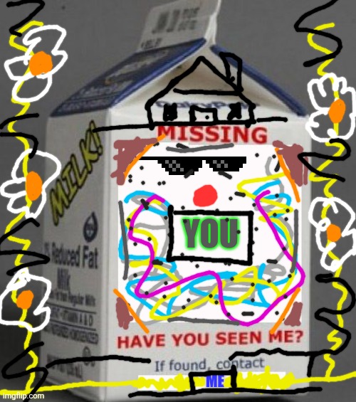 Find me ,missed, haven't seen long time,see you again | YOU; ME | image tagged in milk carton,relationships,sad | made w/ Imgflip meme maker