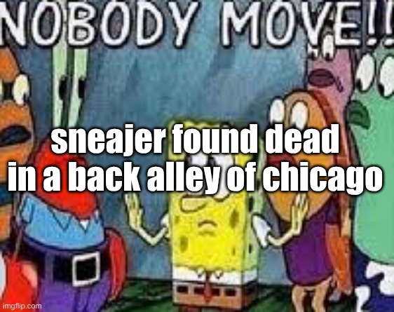 NOBODY MOVE!! | sneajer found dead in a back alley of chicago | image tagged in nobody move | made w/ Imgflip meme maker