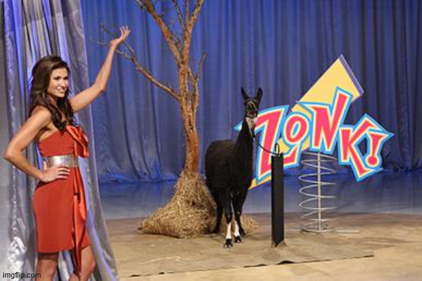 Zonk | image tagged in zonk | made w/ Imgflip meme maker