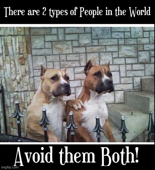 Boxers Commiserating | image tagged in vince vance,dogs,memes,funny dog memes,boxers,humans | made w/ Imgflip meme maker