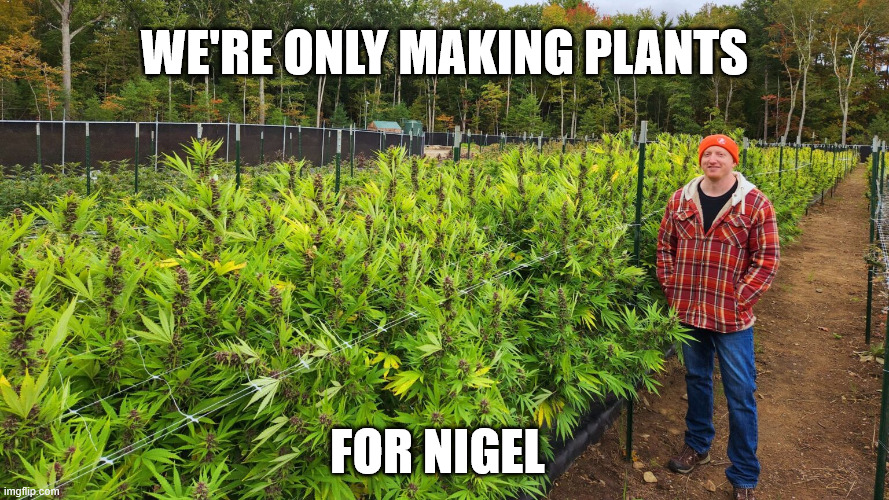 We're only making plants for Nigel | We're only making plants; for nigel | image tagged in music,cannabis,meme,funny,xtc,parody | made w/ Imgflip meme maker