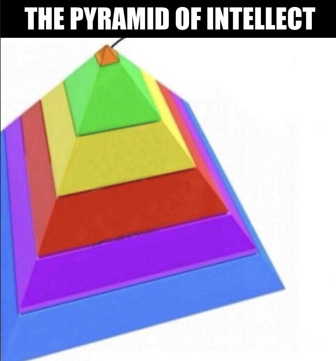 Pyramid of intellect blank Memes - Imgflip