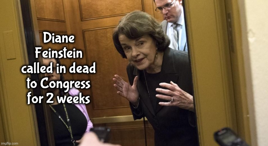 Sneaky Diane Feinstein | Diane Feinstein called in dead to Congress for 2 weeks | image tagged in sneaky diane feinstein | made w/ Imgflip meme maker