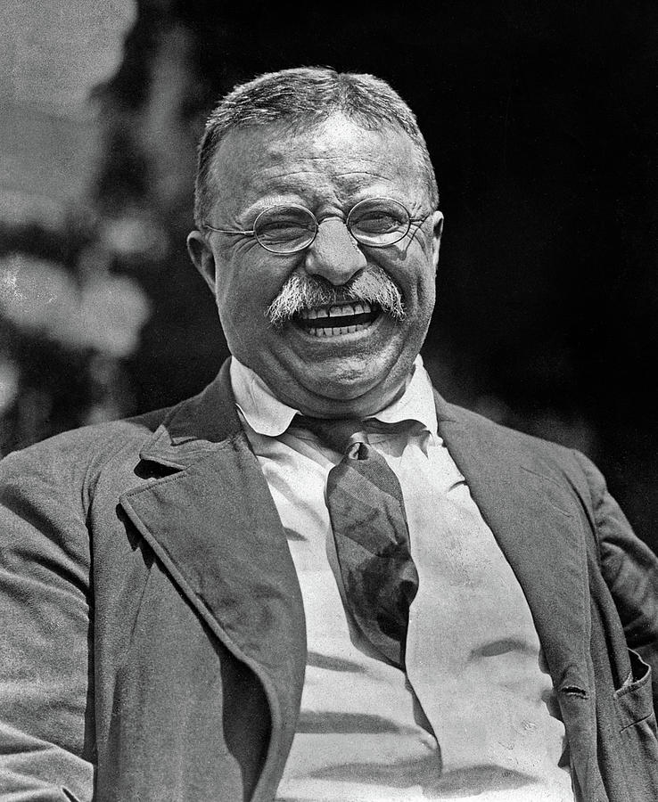Teddy Roosevelt Blank Meme Template