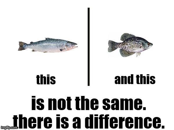 Crappie design | image tagged in fishing,fish,salmon | made w/ Imgflip meme maker