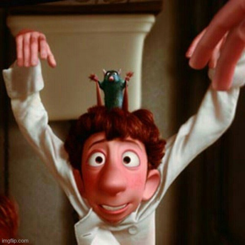 Ratatouille Head | image tagged in ratatouille head | made w/ Imgflip meme maker
