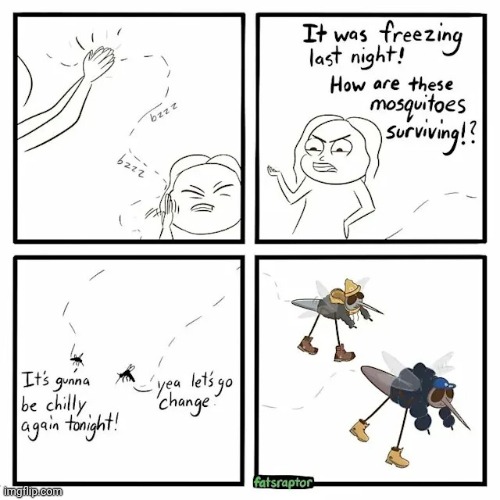 Mosquitoes | image tagged in mosquitoes,mosquito,bugs,bug,comics,comics/cartoons | made w/ Imgflip meme maker