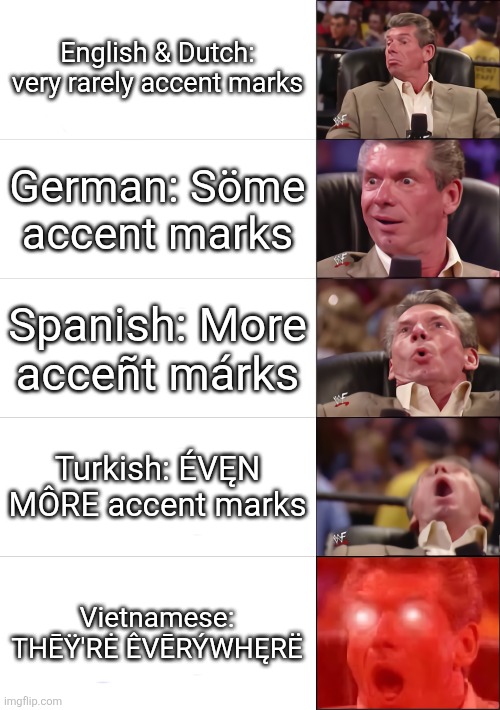 Languages ranked by accent marks! | English & Dutch: very rarely accent marks; German: Söme accent marks; Spanish: More acceñt márks; Turkish: ÉVĘN MÔRE accent marks; Vietnamese: THĒŸ'RĖ ÊVĒRÝWHĘRË | image tagged in vince mcmahon 5 tier,accent,accent marks | made w/ Imgflip meme maker