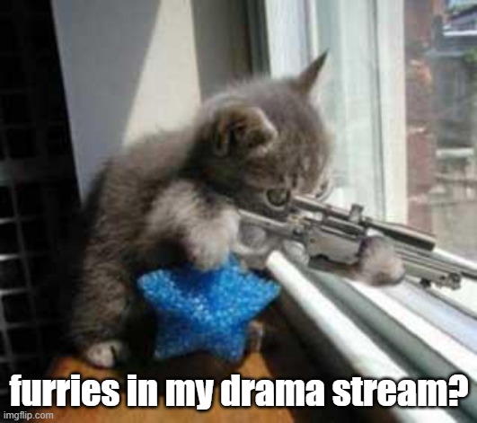 CatSniper | furries in my drama stream? | image tagged in catsniper | made w/ Imgflip meme maker