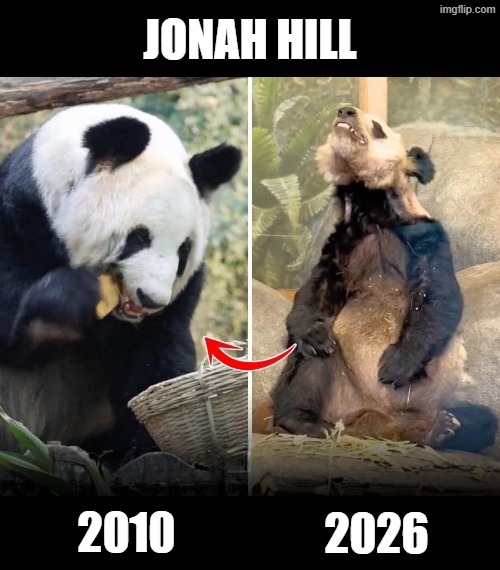 Jonah Hill | Jonah Hill; 2010; 2026 | image tagged in jonah hill,panda | made w/ Imgflip meme maker