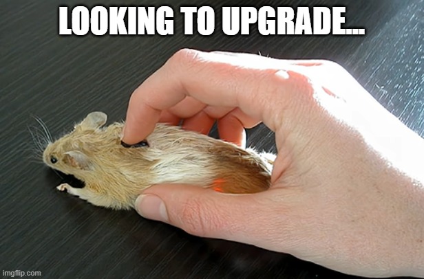 *funny title here* | looking to upgrade... | image tagged in upgrade,mouse,geometry dash | made w/ Imgflip meme maker