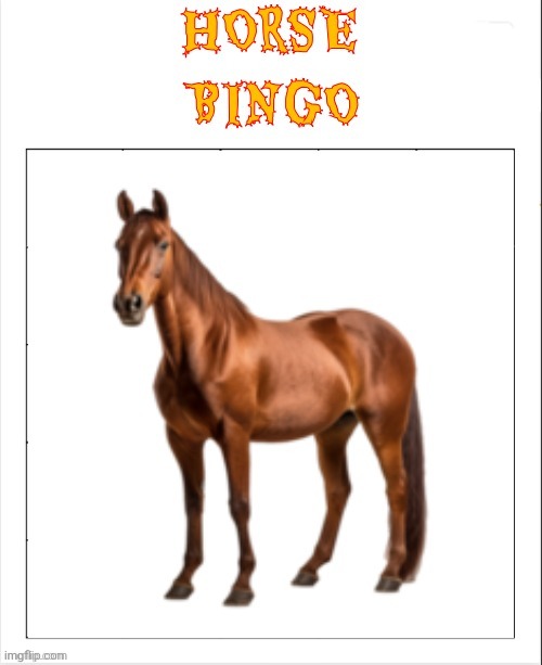 EmotionalSupportBee HORSE BINGO | image tagged in emotionalsupportbee horse bingo | made w/ Imgflip meme maker