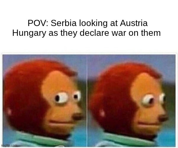 WW1 | POV: Serbia looking at Austria Hungary as they declare war on them | image tagged in memes,monkey puppet | made w/ Imgflip meme maker