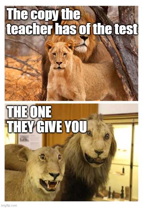 Math Test 2 | The copy the teacher has of the test; the one they give you | image tagged in high vs low quality,remix | made w/ Imgflip meme maker