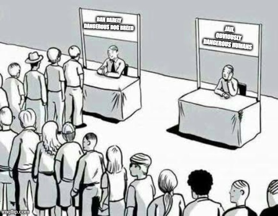 Two lines | ban rarely dangerous dog breed; jail obviously dangerous humans | image tagged in two lines | made w/ Imgflip meme maker