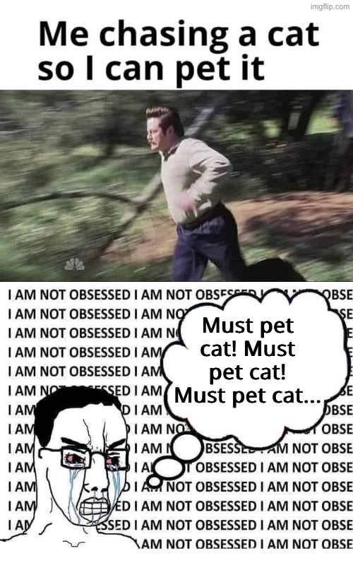 Must Pet Cat | Must pet cat! Must pet cat! Must pet cat... | image tagged in cats,petting,obsessed,funny cats,chase,funny memes | made w/ Imgflip meme maker