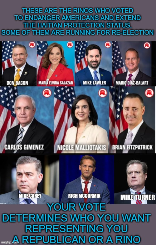 rinos who voted haitian protection | These are the rinos who voted to endanger Americans and extend the haitian protection status. some of them are running for re-election; your vote determines who you want representing you
a republican or a rino | made w/ Imgflip meme maker