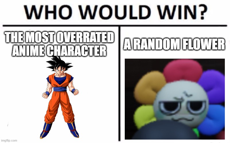 Mod note: gay flowy wins | The most overrated anime character; A random flower | image tagged in memes,who would win | made w/ Imgflip meme maker
