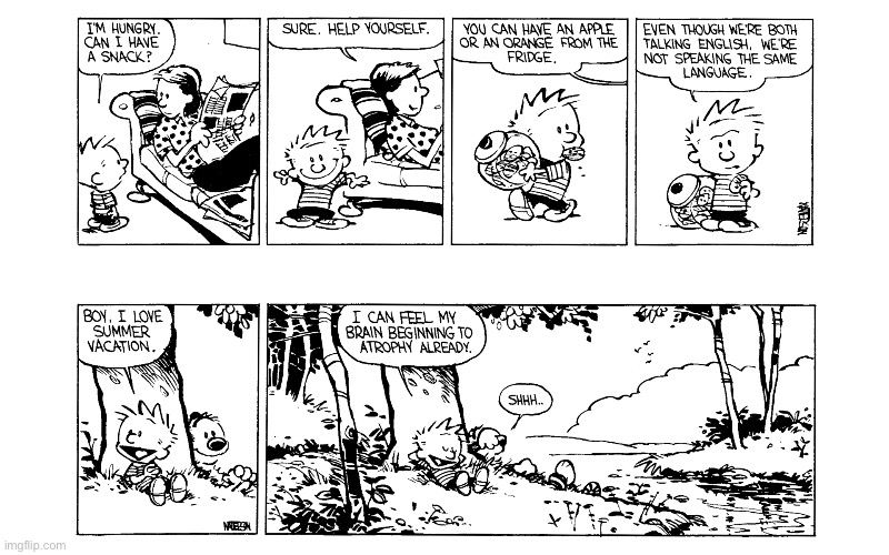 image tagged in calvin and hobbes,comics | made w/ Imgflip meme maker