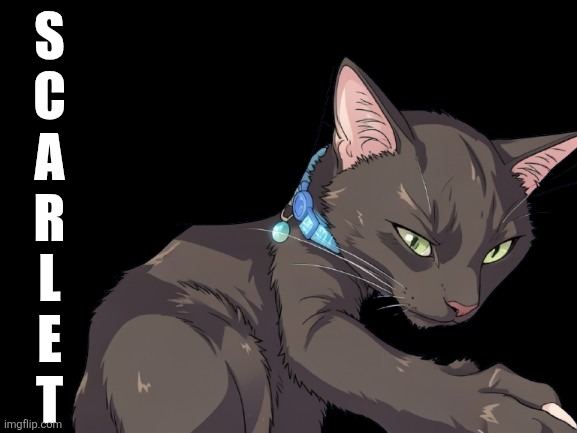 1000017786-removebg-preview.png | S
C
A
R
L
E
T | image tagged in 1000017786-removebg-preview png | made w/ Imgflip meme maker