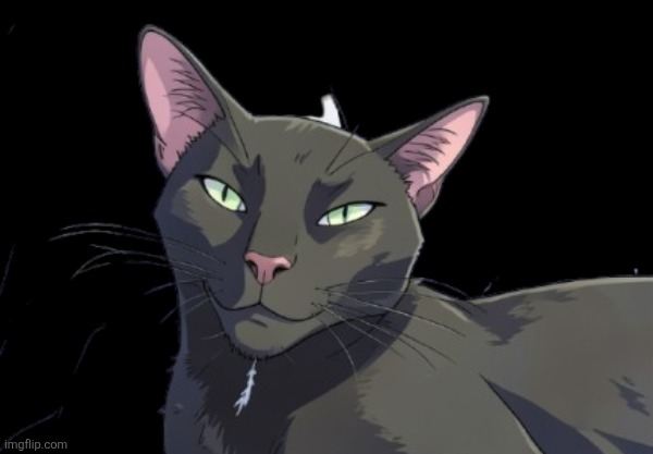 1000017787-removebg-preview.png | image tagged in 1000017787-removebg-preview png | made w/ Imgflip meme maker