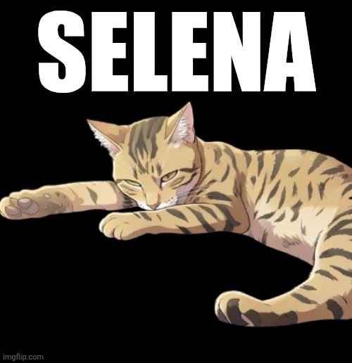 1000017792-removebg-preview.png | Selena | image tagged in 1000017792-removebg-preview png | made w/ Imgflip meme maker