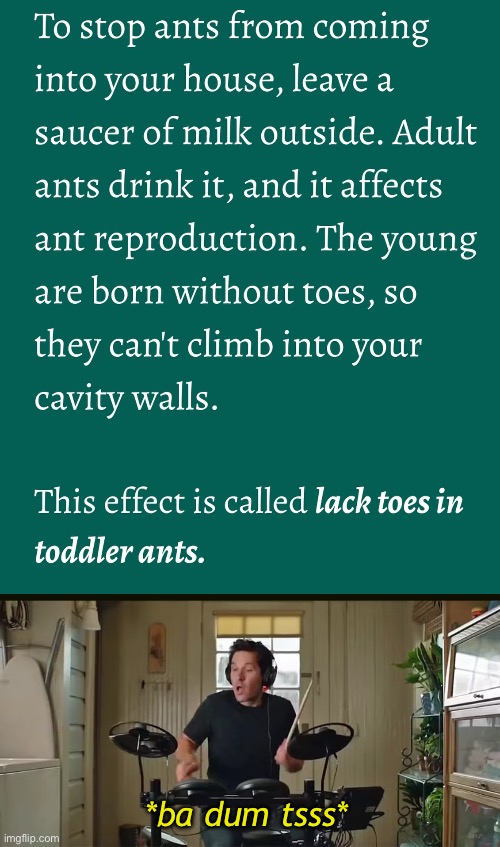 *ba dum tsss* | image tagged in dad joke,eyeroll,ants | made w/ Imgflip meme maker