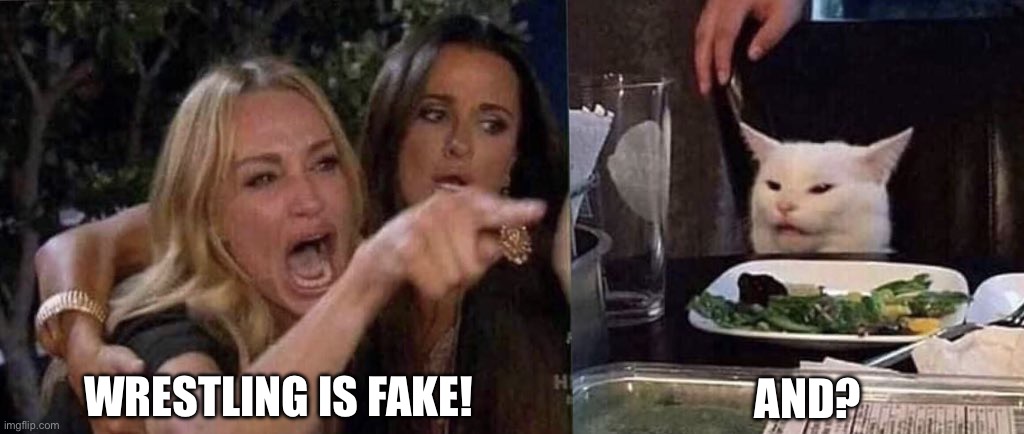 I Don’t Care | Wrestling is fake! And? | image tagged in woman yelling at cat,wrestling,fake,wwe,who cares | made w/ Imgflip meme maker