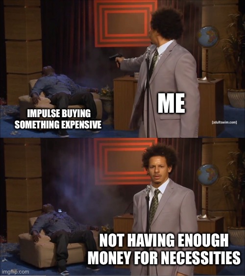 The idea of spending my hard earned money on necessities is crazy to me. Literally pay to live ? | Me; Impulse buying something expensive; Not having enough money for necessities | image tagged in memes,shopping,online shopping | made w/ Imgflip meme maker
