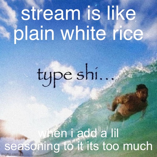 type shi | stream is like plain white rice; when i add a lil seasoning to it its too much | image tagged in type shi | made w/ Imgflip meme maker