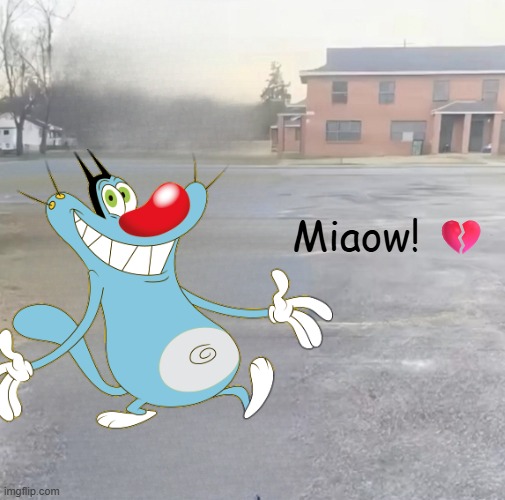 MIAOWOW! | Miaow! 💔 | image tagged in blank sybau maker | made w/ Imgflip meme maker