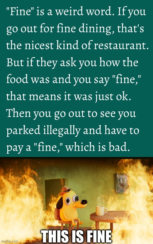 Fine! | This is fine | image tagged in this is fine dog,play on words | made w/ Imgflip meme maker