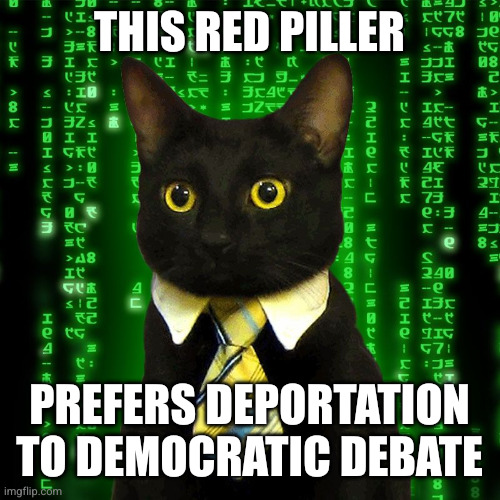 This Red Piller Prefers deportation to democratic debate | image tagged in business cat matrix | made w/ Imgflip meme maker