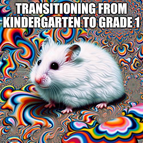 The whole world just got bigger! | Transitioning from Kindergarten to Grade 1 | image tagged in wet white hamster,memes,kindergarten,graduation,rodent worries,psychedelics | made w/ Imgflip meme maker