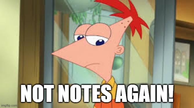 Teen Phineas | Not Notes again! | image tagged in teen phineas,remix | made w/ Imgflip meme maker