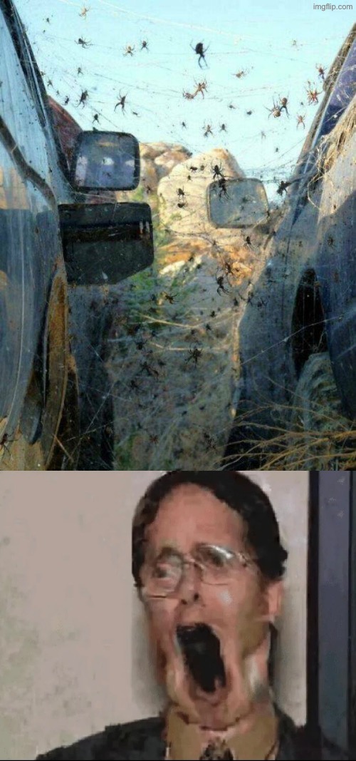 Arachnophobic Nightmare Fuel | image tagged in spiders,arachnophobia,nightmare fuel,what a terrible day to have eyes,oh hell no,unsee juice | made w/ Imgflip meme maker
