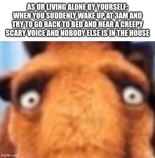 Alone at 3am in this scenario... | as ur living alone by yourself:
when you suddenly wake up at 3am and try to go back to bed and hear a creepy scary voice and nobody else is in the house | image tagged in distressed manfred | made w/ Imgflip meme maker