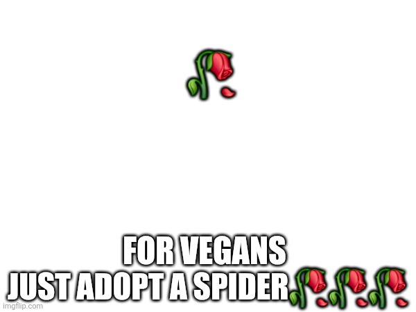 Meme | 🥀; Just adopt a spider🥀🥀🥀; For vegans | image tagged in meme | made w/ Imgflip meme maker