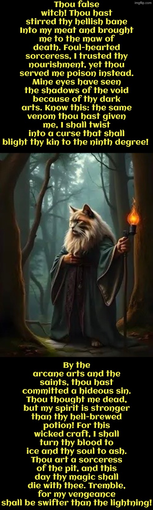 Thy Hell-Brewed Potion | Thou false witch! Thou hast stirred thy hellish bane Into my meat and brought me to the maw of death. Foul-hearted sorceress, I trusted thy nourishment, yet thou served me poison instead. Mine eyes have seen the shadows of the void because of thy dark arts. Know this: the same venom thou hast given me, I shall twist into a curse that shall blight thy kin to the ninth degree! By the arcane arts and the saints, thou hast committed a hideous sin. Thou thought me dead, but my spirit is stronger than thy hell-brewed potion! For this wicked craft, I shall turn thy blood to ice and thy soul to ash. Thou art a sorceress of the pit, and this day thy magic shall die with thee. Tremble, for my vengeance shall be swifter than the lightning! | image tagged in cats,medieval memes,archaic insults,wizards,witches,cursed | made w/ Imgflip meme maker