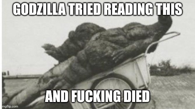 Dead godzilla | GODZILLA TRIED READING THIS AND FUCKING DIED | image tagged in dead godzilla | made w/ Imgflip meme maker