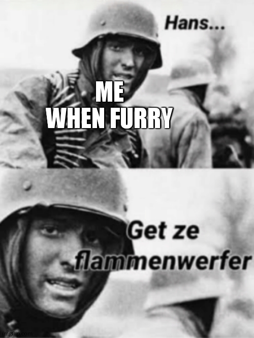 Hans, Get ze flammenwerfer | me when furry | image tagged in hans get ze flammenwerfer | made w/ Imgflip meme maker