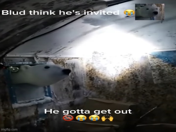 image tagged in shitpost,shit | made w/ Imgflip meme maker