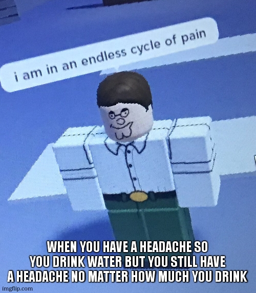 me rn | when you have a headache so you drink water but you still have a headache no matter how much you drink | image tagged in i am in an endless cycle of pain | made w/ Imgflip meme maker